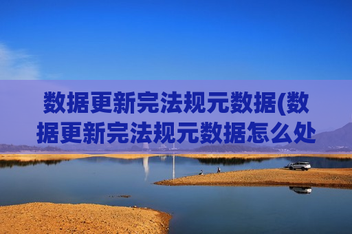 数据更新完法规元数据(数据更新完法规元数据怎么处理)