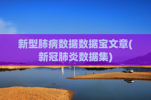 新型肺病数据数据宝文章(新冠肺炎数据集)