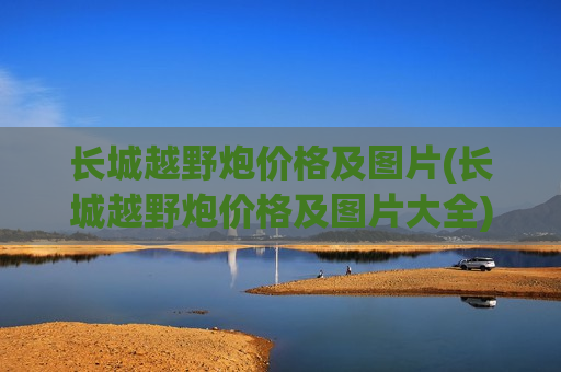 长城越野炮价格及图片(长城越野炮价格及图片大全)