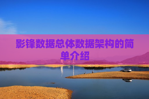 影锋数据总体数据架构的简单介绍