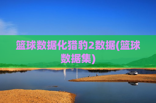 篮球数据化猎豹2数据(篮球数据集)