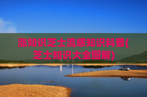 涨知识芝士流感知识科普(芝士知识大全图解)