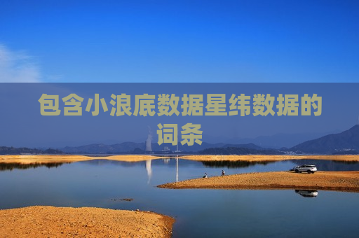 包含小浪底数据星纬数据的词条