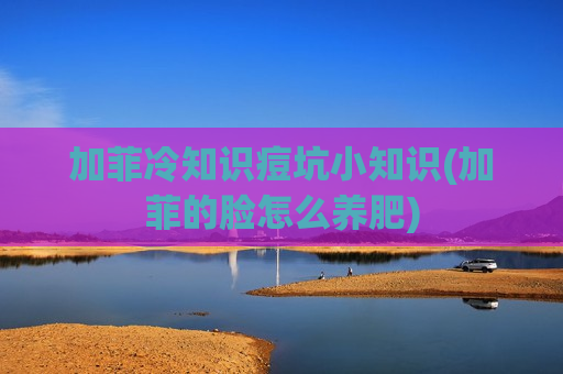 加菲冷知识痘坑小知识(加菲的脸怎么养肥)