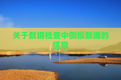 关于数据检查中侧投数据的信息