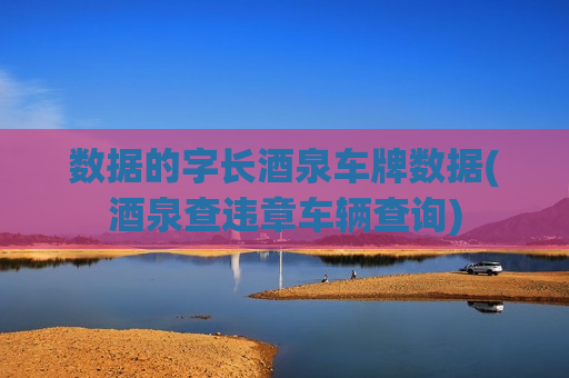 数据的字长酒泉车牌数据(酒泉查违章车辆查询)