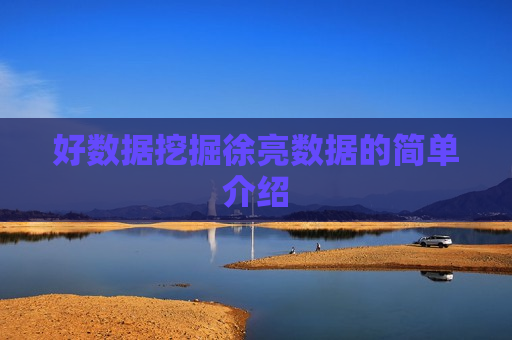 好数据挖掘徐亮数据的简单介绍