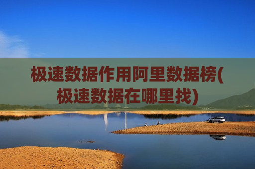 极速数据作用阿里数据榜(极速数据在哪里找)