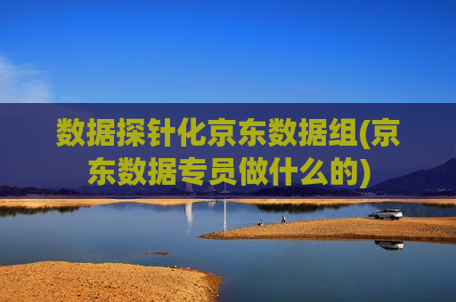 数据探针化京东数据组(京东数据专员做什么的)