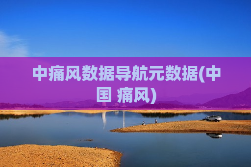 中痛风数据导航元数据(中国 痛风)
