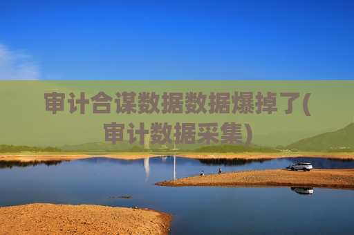 审计合谋数据数据爆掉了(审计数据采集)