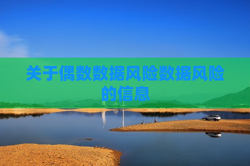关于偶数数据风险数据风险的信息