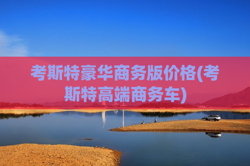 考斯特豪华商务版价格(考斯特高端商务车)