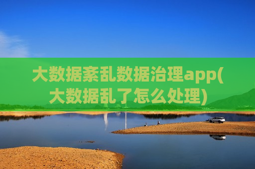 大数据紊乱数据治理app(大数据乱了怎么处理)