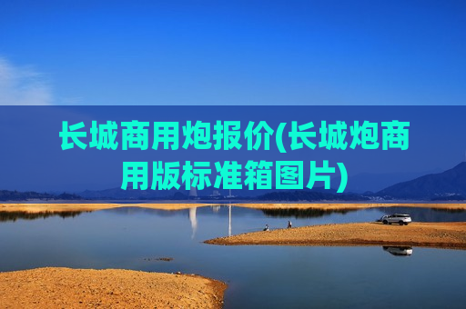 长城商用炮报价(长城炮商用版标准箱图片)