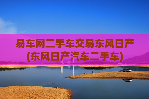 易车网二手车交易东风日产(东风日产汽车二手车)