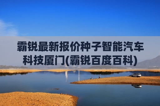 霸锐最新报价种子智能汽车科技厦门(霸锐百度百科)