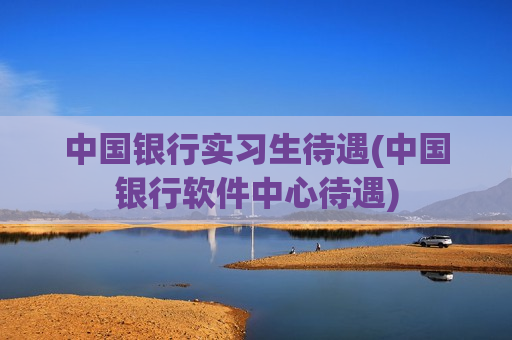 中国银行实习生待遇(中国银行软件中心待遇)