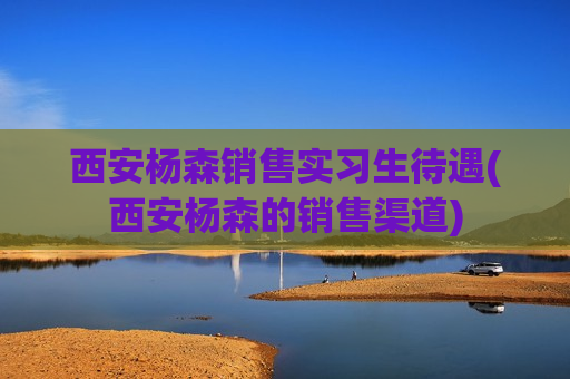 西安杨森销售实习生待遇(西安杨森的销售渠道)