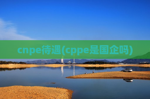cnpe待遇(cppe是国企吗)