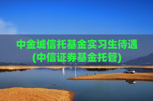 中金城信托基金实习生待遇(中信证券基金托管)