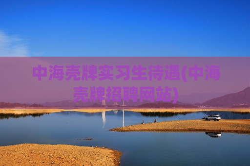 中海壳牌实习生待遇(中海壳牌招聘网站)
