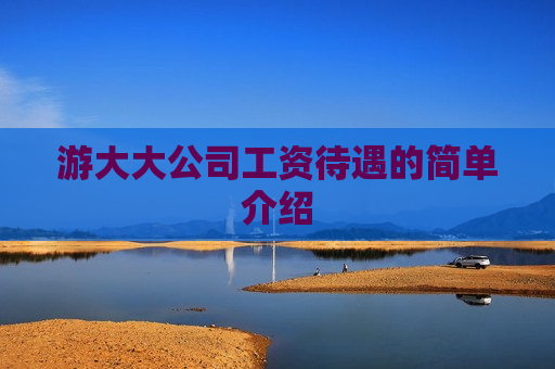 游大大公司工资待遇的简单介绍