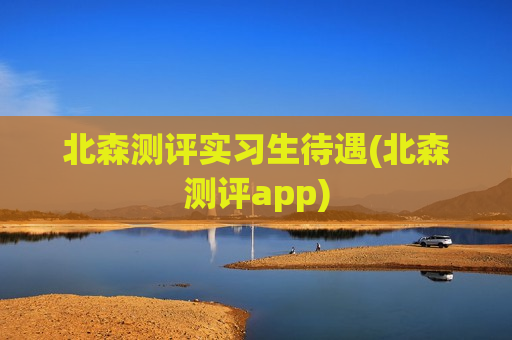 北森测评实习生待遇(北森测评app)