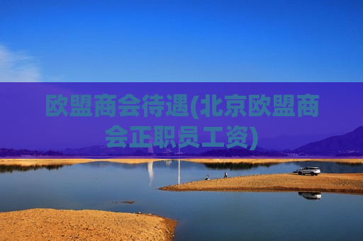欧盟商会待遇(北京欧盟商会正职员工资)