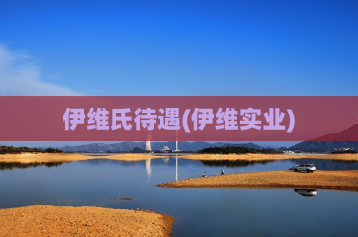 伊维氏待遇(伊维实业)