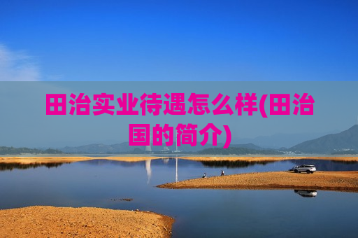 田治实业待遇怎么样(田治国的简介)
