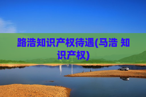 路浩知识产权待遇(马浩 知识产权)