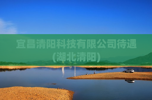 宜昌清阳科技有限公司待遇(湖北清阳)