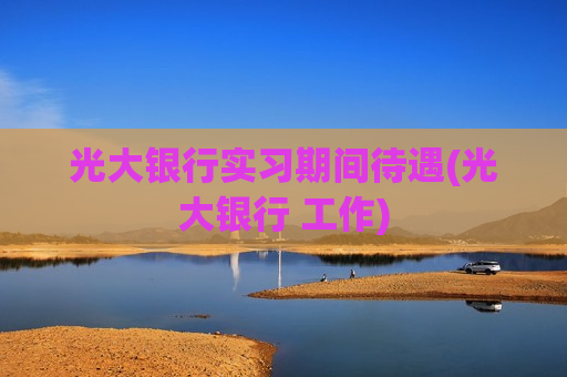 光大银行实习期间待遇(光大银行 工作)