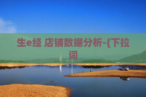 生e经 店铺数据分析-{下拉词