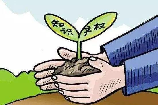 知识变为专利指使罪的知识(知识变为专利指使罪的知识包括)