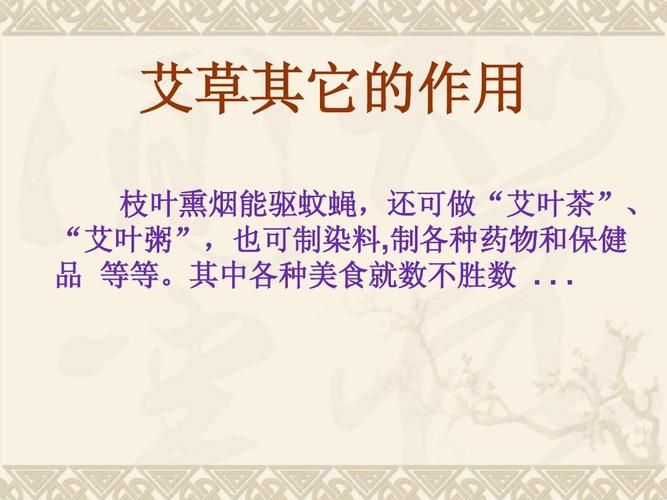 艾草的小知识毛概知识题(艾草知识介绍)
