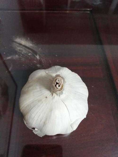 大蒜科学知识面包知识库(大蒜知识大全)