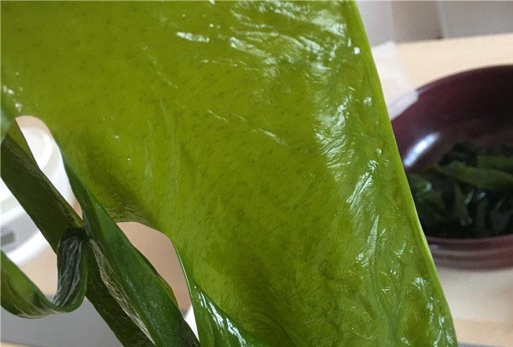 卖牛的知识裙带菜知识(牛裙带是哪儿的肉)