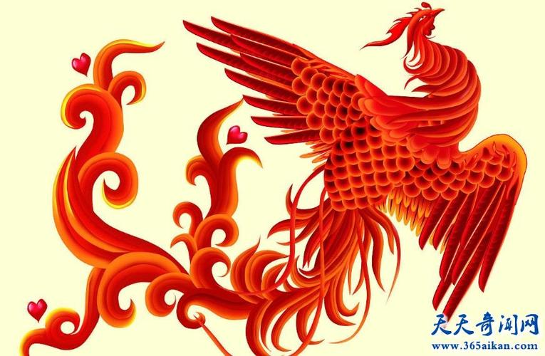 凤凰的数据数据又称什么(凤凰的资料是什么)