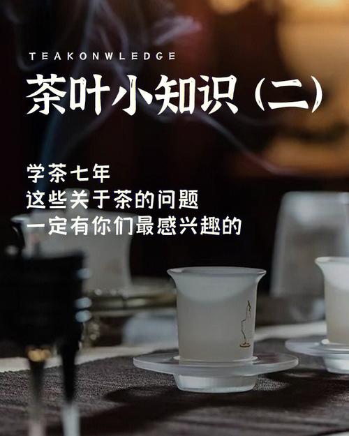 买茶小知识人文知识的美(买茶的话术)