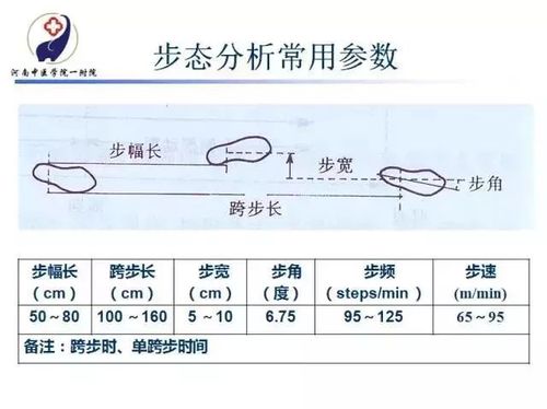 步态数据测量b码数据(步态分析步长的含义是什么)
