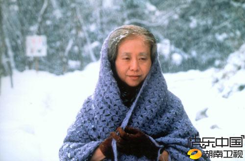 电视剧阿信演员表雪城电视剧演员表的简单介绍