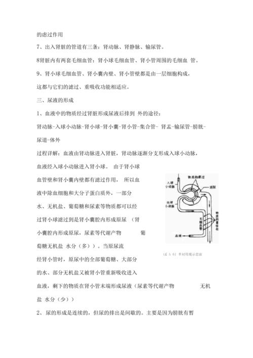 知识点贴排泄知识点(排泄的试题和答案)
