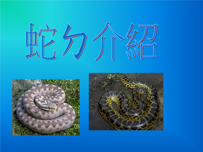 长知识好物科普知识蛇的简单介绍