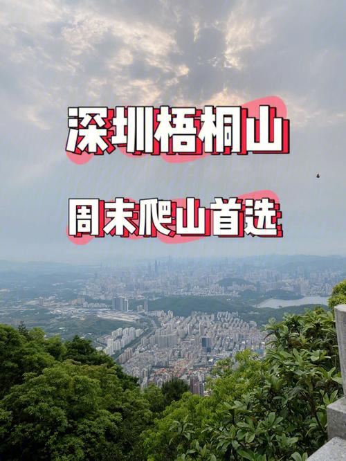 包含商品住房价格深圳梧桐山房价的词条