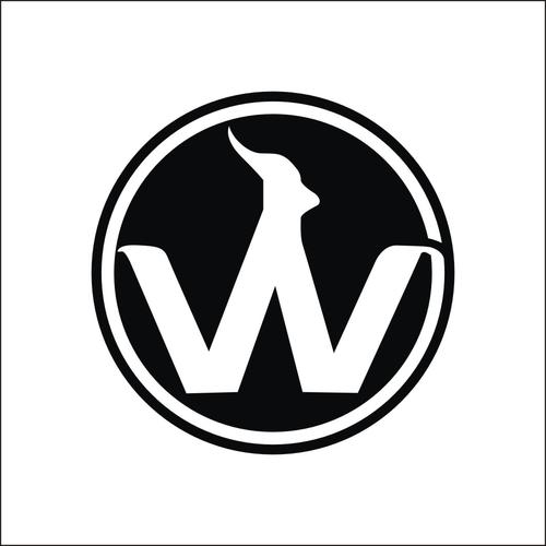 w开头的是什么车标志(w开头车标的是什么车)