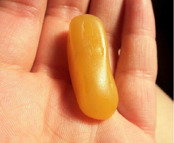 黄沁玉知识护奶裙知识的简单介绍