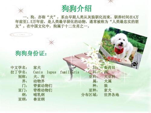 关于静怡小知识狗狗知识库的信息