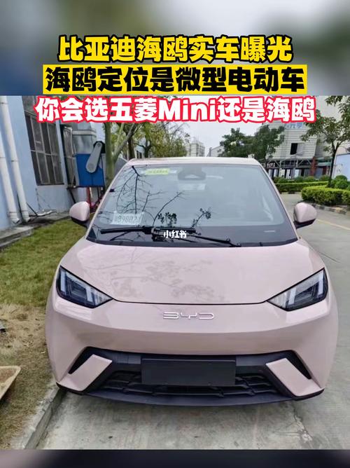 比亚迪新能源汽车海鸥(比亚迪新能源汽车海鸥多少钱)